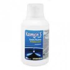 Kaomycin-S Simple SUSP 180 ml